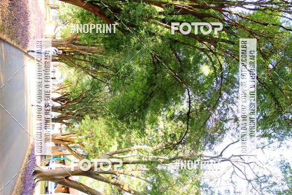 Buy your photos of the eventTreino Especial Galera do Pace  on Fotop
