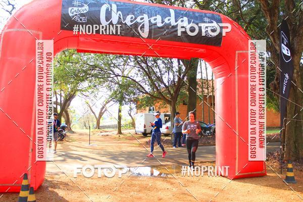 Buy your photos of the eventTreino Especial Galera do Pace  on Fotop