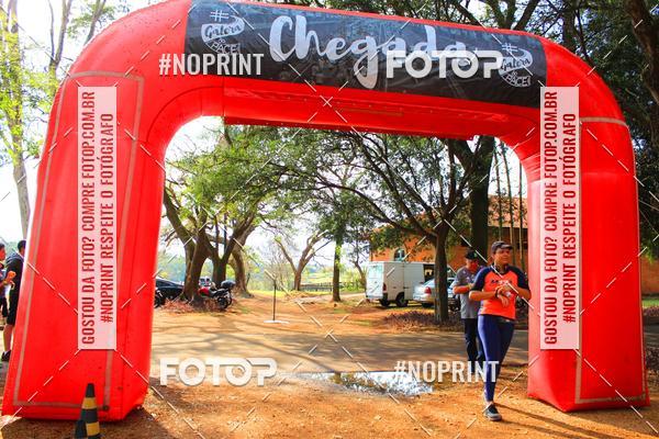 Buy your photos of the eventTreino Especial Galera do Pace  on Fotop