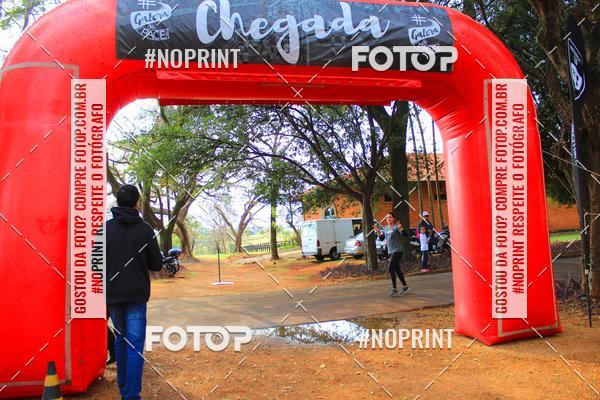 Buy your photos of the eventTreino Especial Galera do Pace  on Fotop
