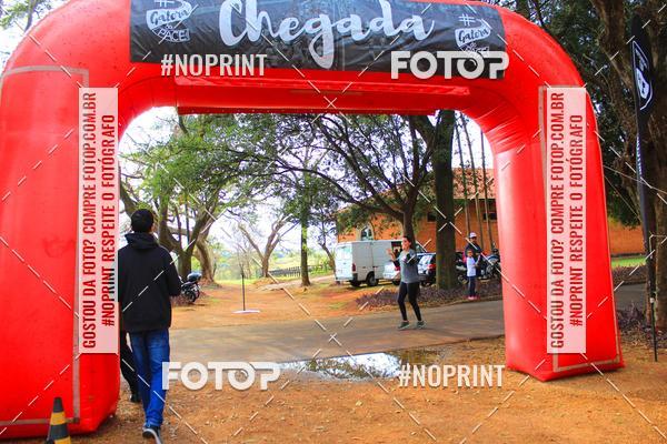 Buy your photos of the eventTreino Especial Galera do Pace  on Fotop