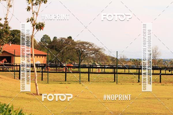 Buy your photos of the eventTreino Especial Galera do Pace  on Fotop