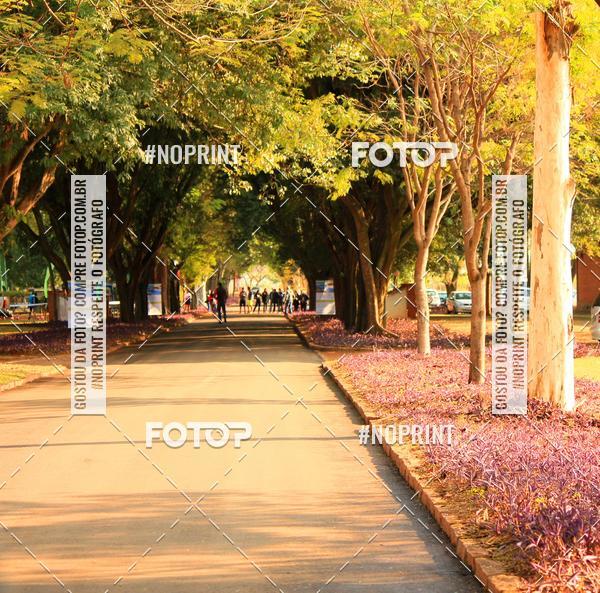 Buy your photos of the eventTreino Especial Galera do Pace  on Fotop
