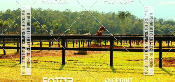 Buy your photos of the eventTreino Especial Galera do Pace  on Fotop