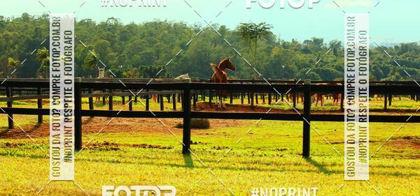 Buy your photos of the eventTreino Especial Galera do Pace  on Fotop