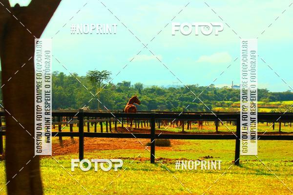 Buy your photos of the eventTreino Especial Galera do Pace  on Fotop