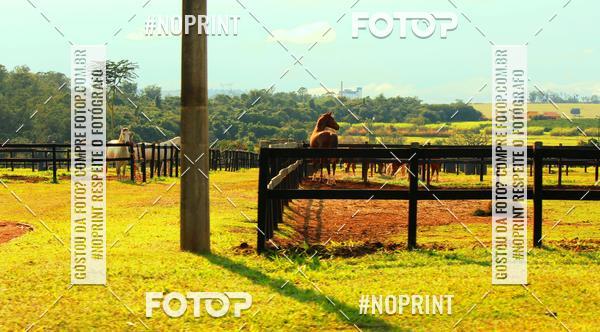 Buy your photos of the eventTreino Especial Galera do Pace  on Fotop