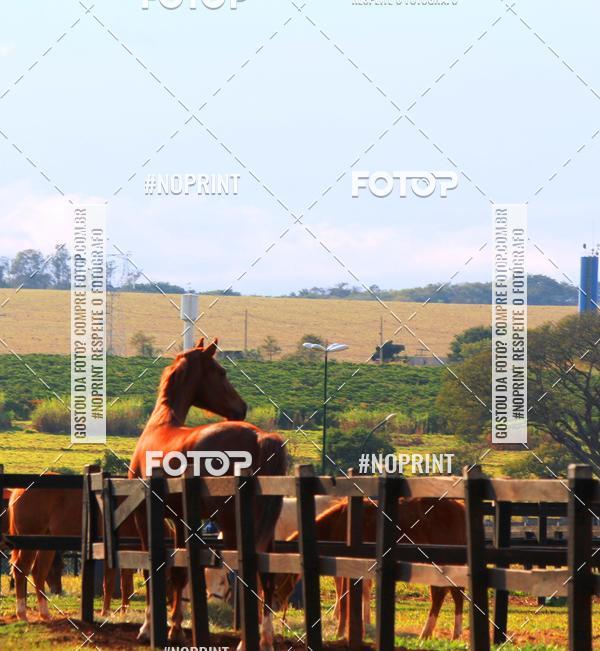 Buy your photos of the eventTreino Especial Galera do Pace  on Fotop