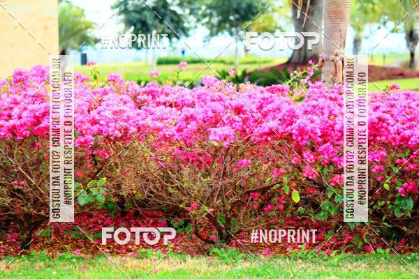 Buy your photos of the eventTreino Especial Galera do Pace  on Fotop