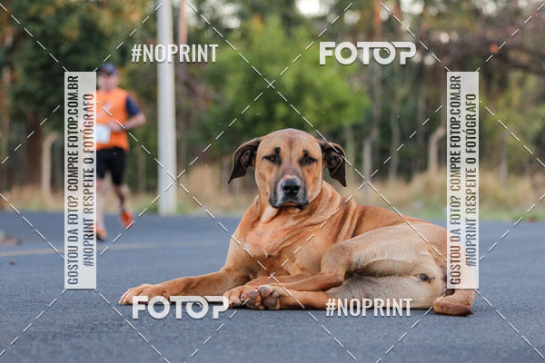 Buy your photos of the event2 Corrida de Rua e Caminhada - Col�gio Zerbrini Coopen on Fotop