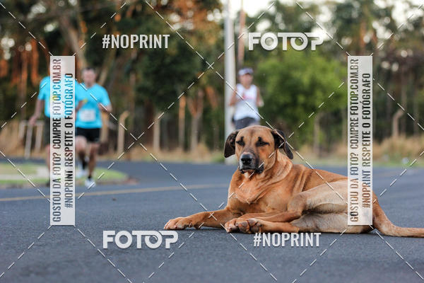 Buy your photos of the event2 Corrida de Rua e Caminhada - Col�gio Zerbrini Coopen on Fotop