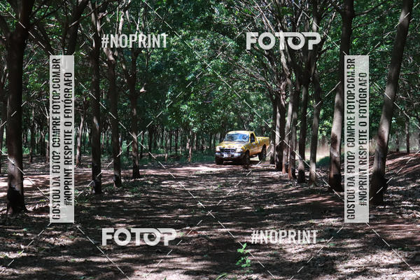 Compra tus fotos del eventoRally da Independencia En Fotop