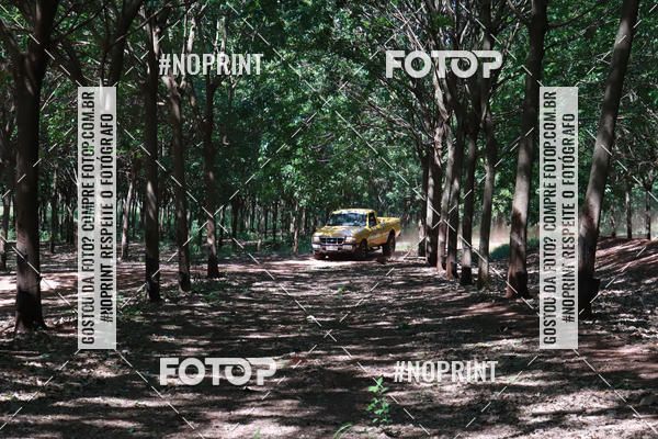 Compra tus fotos del eventoRally da Independencia En Fotop