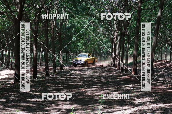 Compra tus fotos del eventoRally da Independencia En Fotop