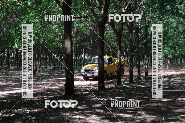 Compra tus fotos del eventoRally da Independencia En Fotop