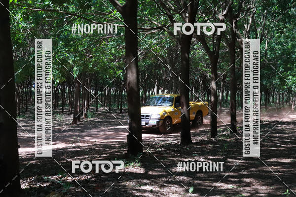 Compra tus fotos del eventoRally da Independencia En Fotop