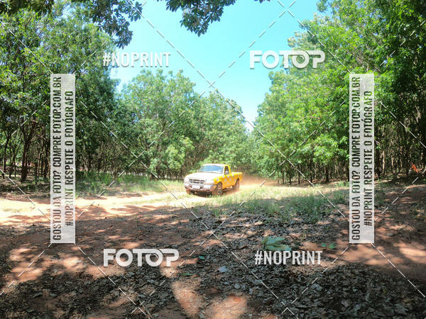 Acquista le foto dell'eventoRally da Independencia in Fotop