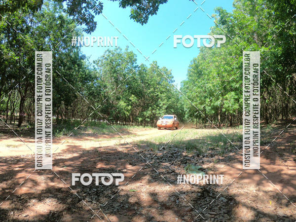 Compre as suas fotos do eventoRally da Independencia no Fotop