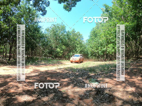 Compre as suas fotos do eventoRally da Independencia no Fotop