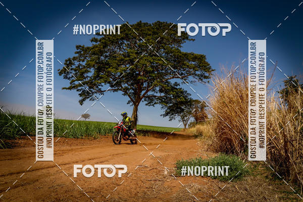 Achetez vos photos de l'vnementRally da Independencia sur Fotop