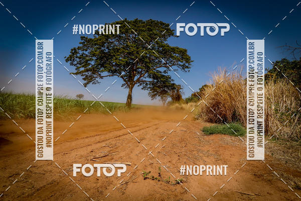 Compra tus fotos del eventoRally da Independencia En Fotop
