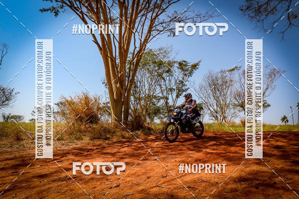 Achetez vos photos de l'vnementRally da Independencia sur Fotop