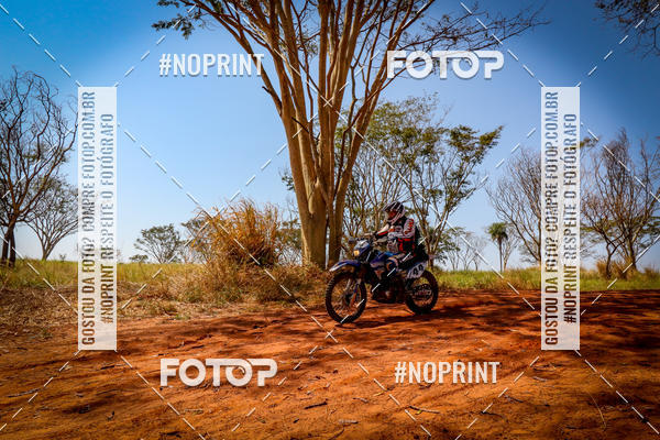 Achetez vos photos de l'vnementRally da Independencia sur Fotop
