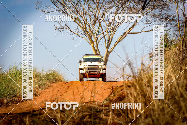 Buy your photos of the eventRally da Independencia on Fotop