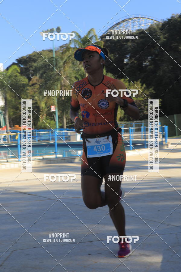 Buy your photos of the eventACQUAFEST WET�N WILD 2019 on Fotop