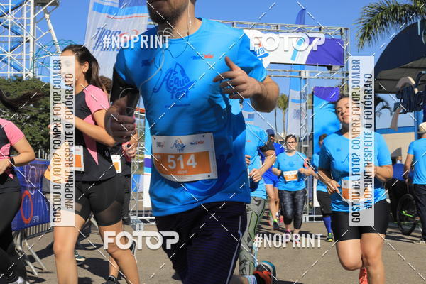 Buy your photos of the eventACQUAFEST WET�N WILD 2019 on Fotop