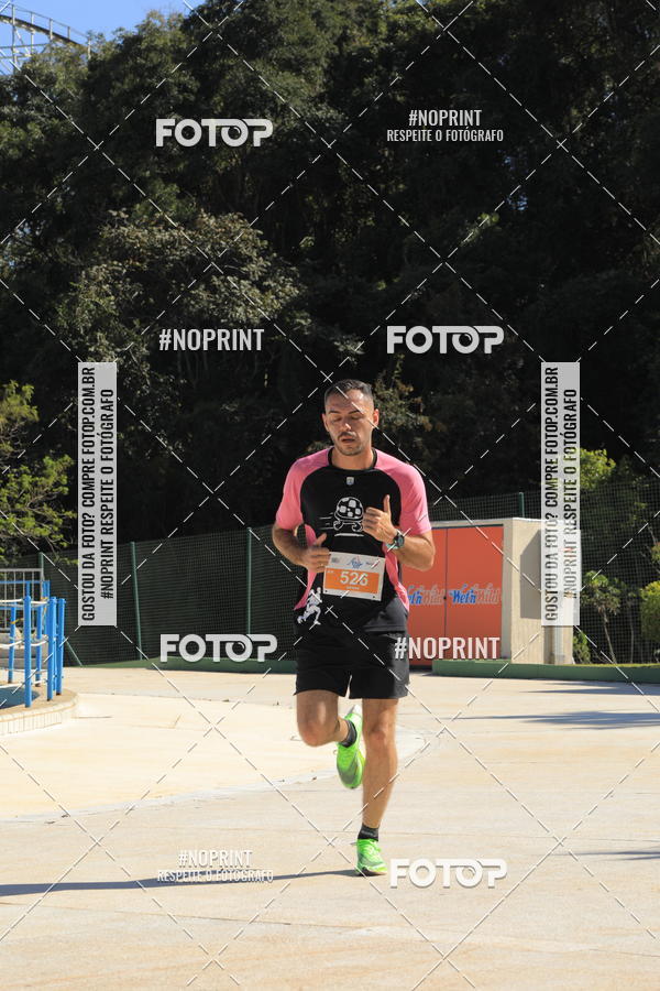 Buy your photos of the eventACQUAFEST WET�N WILD 2019 on Fotop