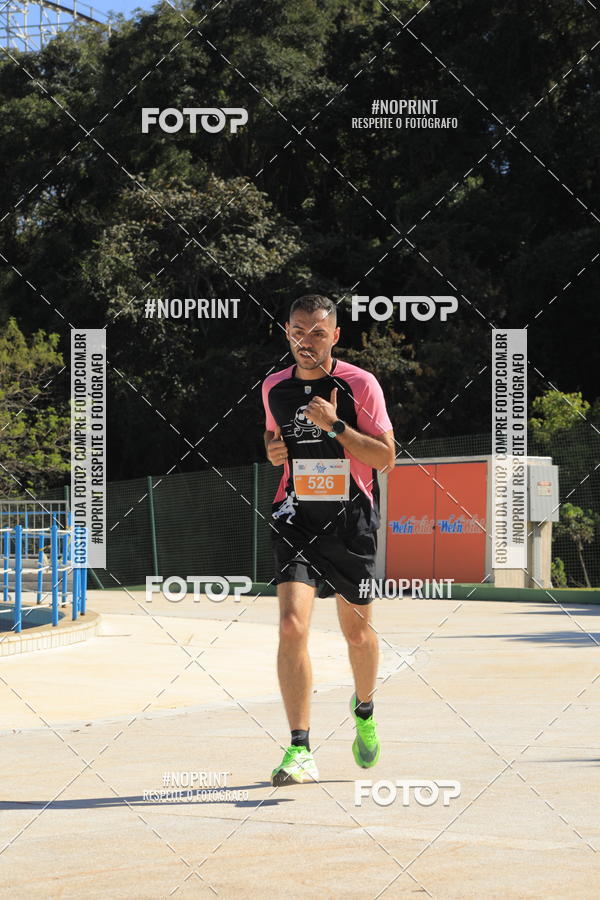 Buy your photos of the eventACQUAFEST WET�N WILD 2019 on Fotop