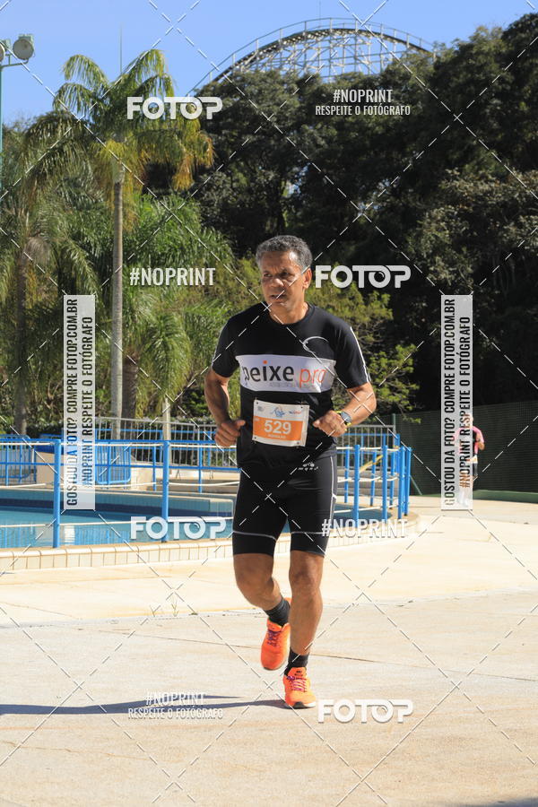 Buy your photos of the eventACQUAFEST WET�N WILD 2019 on Fotop