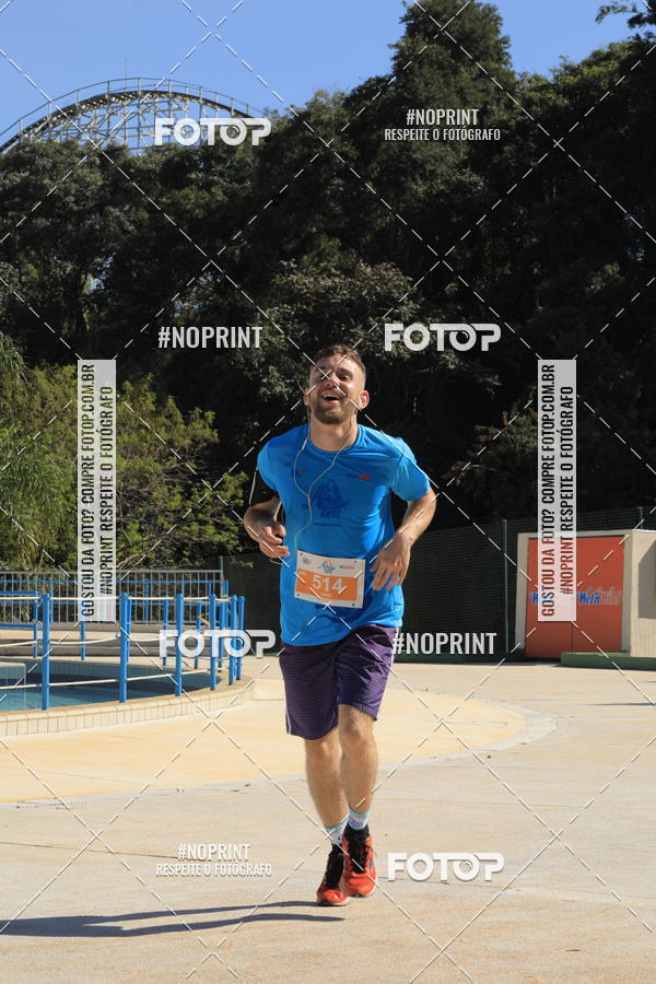 Buy your photos of the eventACQUAFEST WET�N WILD 2019 on Fotop