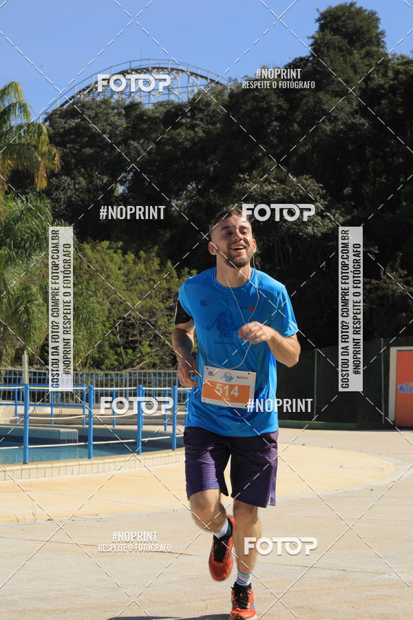 Buy your photos of the eventACQUAFEST WET�N WILD 2019 on Fotop