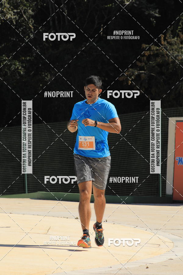 Buy your photos of the eventACQUAFEST WET�N WILD 2019 on Fotop