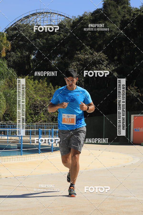 Buy your photos of the eventACQUAFEST WET�N WILD 2019 on Fotop