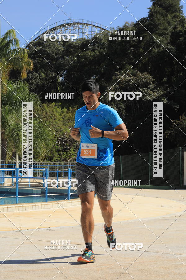 Buy your photos of the eventACQUAFEST WET�N WILD 2019 on Fotop