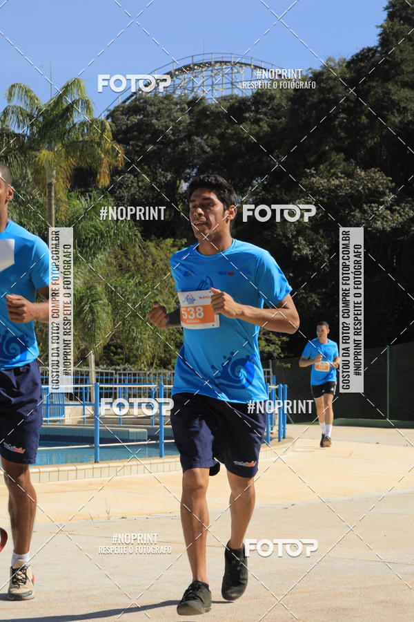 Buy your photos of the eventACQUAFEST WET�N WILD 2019 on Fotop