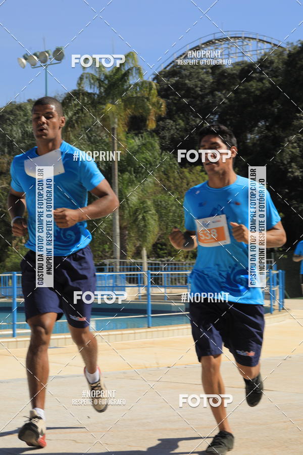 Buy your photos of the eventACQUAFEST WET�N WILD 2019 on Fotop