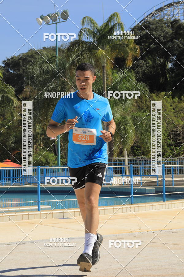 Buy your photos of the eventACQUAFEST WET�N WILD 2019 on Fotop