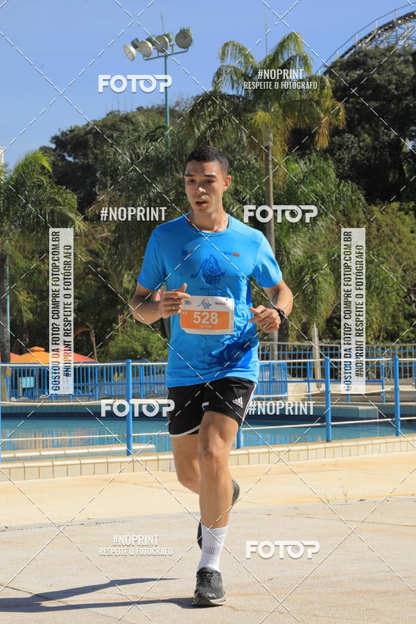 Buy your photos of the eventACQUAFEST WET�N WILD 2019 on Fotop