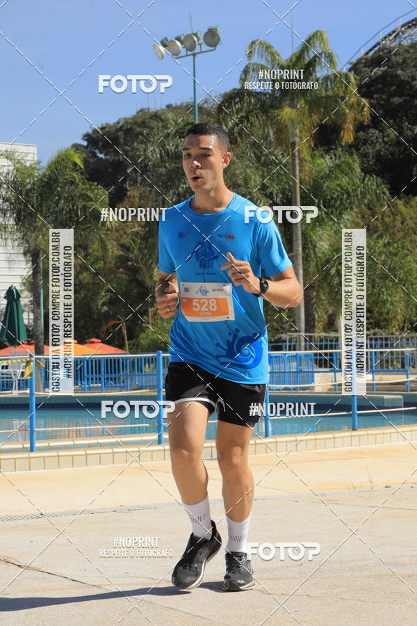 Buy your photos of the eventACQUAFEST WET�N WILD 2019 on Fotop