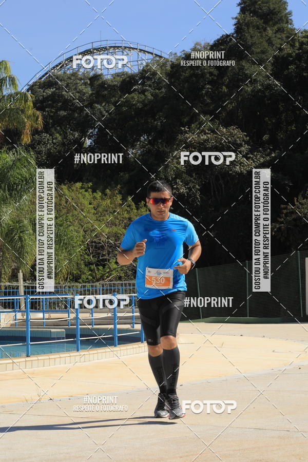 Buy your photos of the eventACQUAFEST WET�N WILD 2019 on Fotop