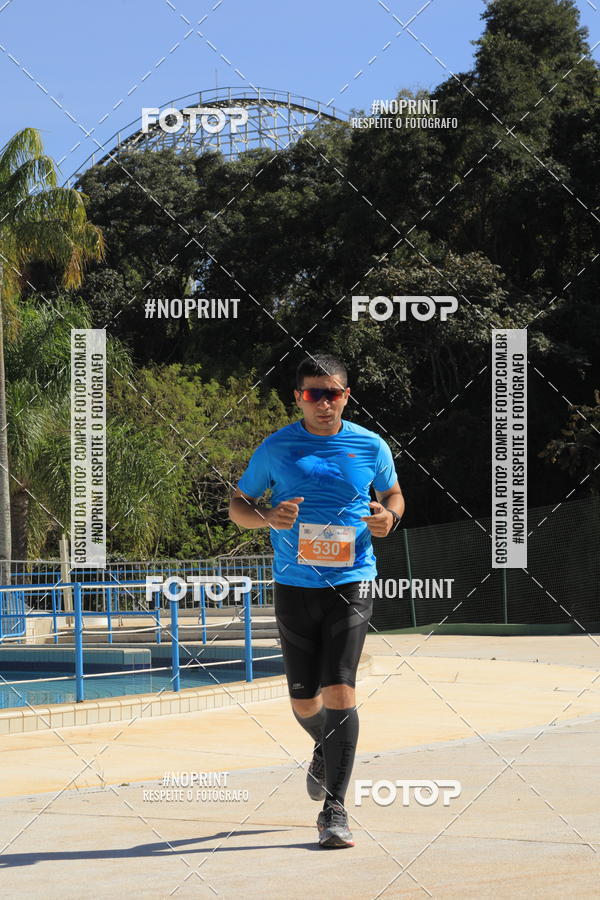 Buy your photos of the eventACQUAFEST WET�N WILD 2019 on Fotop