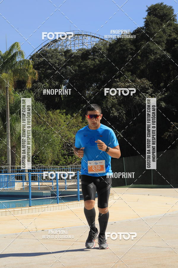 Buy your photos of the eventACQUAFEST WET�N WILD 2019 on Fotop