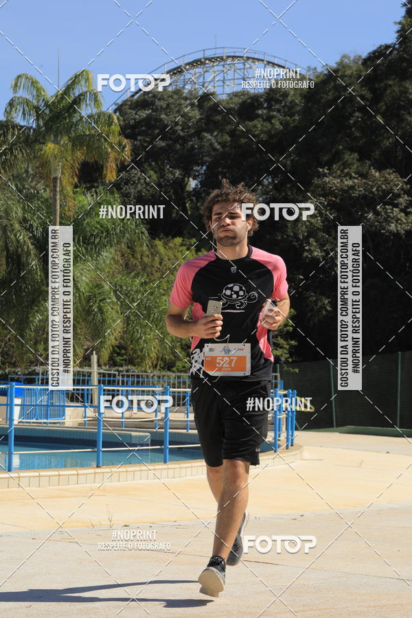 Buy your photos of the eventACQUAFEST WET�N WILD 2019 on Fotop