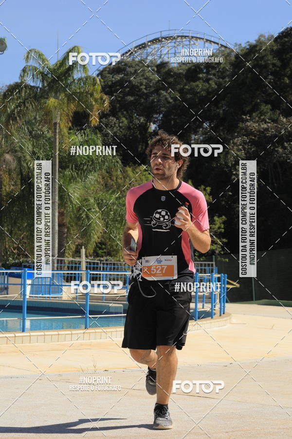 Buy your photos of the eventACQUAFEST WET�N WILD 2019 on Fotop