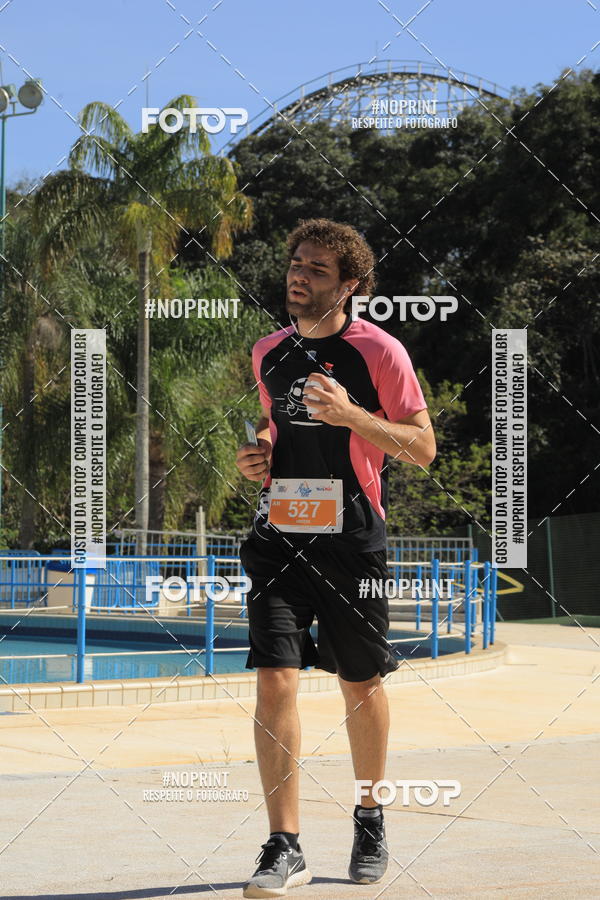 Buy your photos of the eventACQUAFEST WET�N WILD 2019 on Fotop