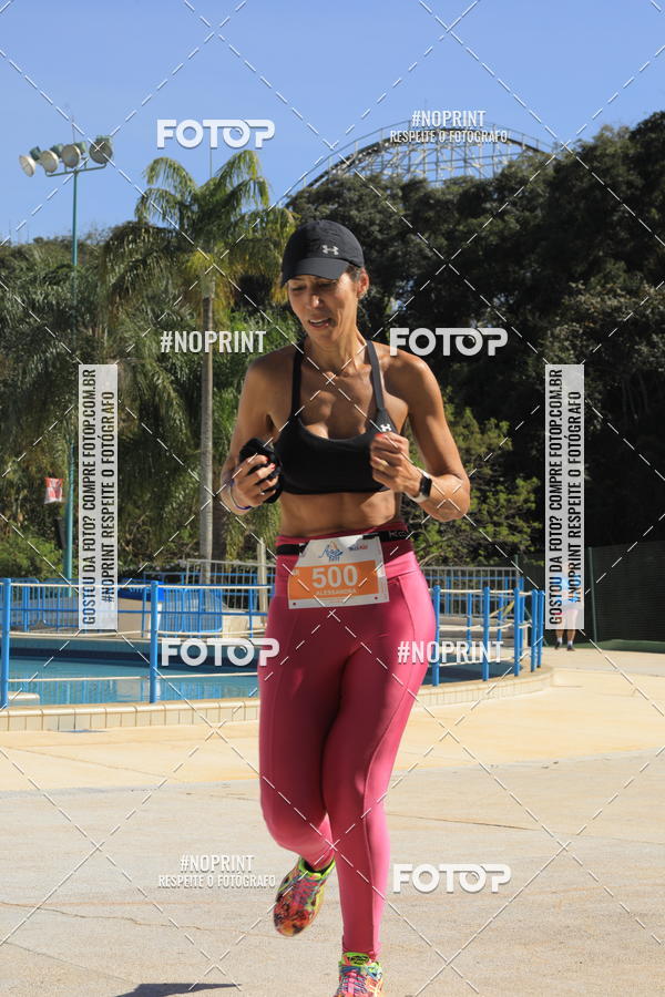 Buy your photos of the eventACQUAFEST WET�N WILD 2019 on Fotop